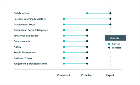 Chart displaying current and target future capability maturity levels for a typical HR job